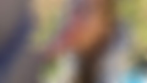 從平台結構、內容分類、使用者安全、法律與倫理、以及成人內容的SEO優化策略等角度,全面剖析XVIDEOS上標註為「xxx-video」的視頻生態與相關注意事項,幫助讀者在合法、安全與負責任的前提下理解與管理成人內容。
