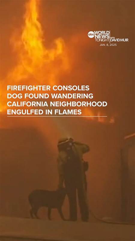 面对财务独立与提前退休理念的种种挑战，许多人开始寻找一种既能享受生活又不会过度牺牲的退休策略。本文深入剖析财务自由退休（FIRE）运动的利与弊，介绍一种折中的路径——Coast FIRE，帮助你实现更理想的财富管理和生活平衡。