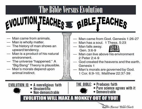 探讨圣经文本重新诠释如何成为宗教信徒接受进化论的关键桥梁,深入分析宗教信仰与科学教育之间的融合路径及其对美国学术界和社会认知的影响。
