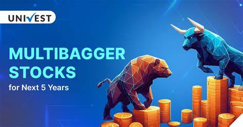 深入剖析未来有望成为科技领域多倍股的两大潜力公司,探讨其业务模式、市场前景及人工智能驱动的增长机会,助力投资者洞察科技投资新趋势。
