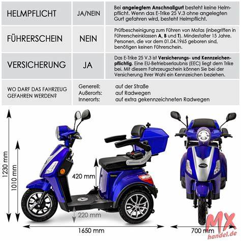 德国三轮车L5E驾照规则全解析:从Piaggio MP3到法律应对策略
