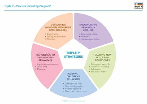 介绍如何通过积极育儿(Triple P)原则,系统性地培养孩子独立解决问题的能力,结合不同年龄阶段的技巧、实用对话与常见情境应对,帮助父母在家庭和学校环境中落实可持续的培养方案。
