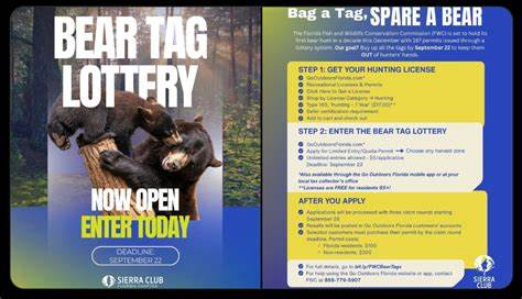 随着佛罗里达州重新开放熊类狩猎,保护主义者采取创新行动,通过购买猎熊许可证来防止黑熊被猎杀,本文深入探讨了这一现象的背景、影响与未来展望。
