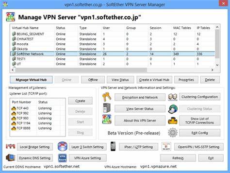 深入了解VPN Gate的下载方法、安装流程及使用技巧,掌握如何利用VPN Gate提升网络隐私与访问自由,适合各种操作系统环境,助力用户轻松实现网络安全与高效连接。
