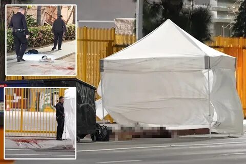 医学奇迹再现!男子在截断阴茎近24小时后成功重新接合,并恢复正常功能。本文详细探讨医学界的突破性进展、断肢重植的关键技术以及患者康复过程中的挑战与希望。

