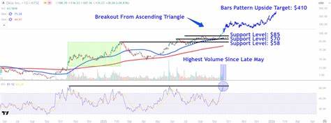 随着核能成为能源领域的热点,Oklo股票近日迎来了显著上涨。文章深入分析Oklo股价上涨的原因、关键技术价格点位及其未来走势,为投资者提供有价值的市场洞察与决策参考。
