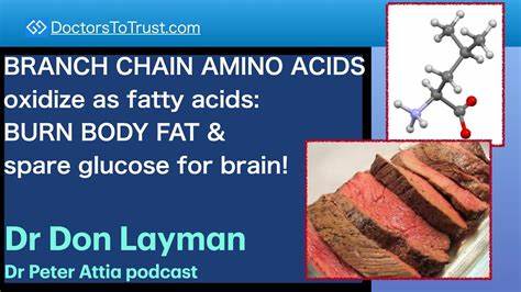 解读最新研究如何揭示神经元依赖内源性长链饱和脂肪酸进行β-氧化以维持线粒体能量,探索DDHD2酶、ATP生成、突触功能与遗传疾病HSP54之间的关联及其治疗潜力
