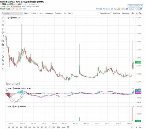 混合武術集團因唐納德·特朗普 Jr. 加入戰略顧問團隊而引起市場關注,股票價格大幅上漲。本文深入分析MMA的業務模式、成長潛力、風險因素,以及投資者是否應該考慮買入這支備受矚目的便士股。

