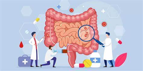 How to Fix a Gut Microbiome Ravaged by Antibiotics