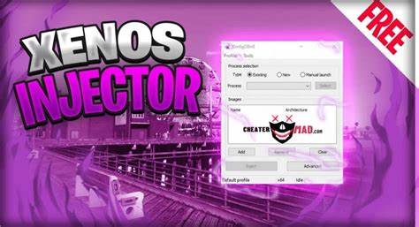 全面探讨Xenos注入器在使用过程中常见问题及有效解决方法,帮助用户快速排查故障,提升软件使用体验
