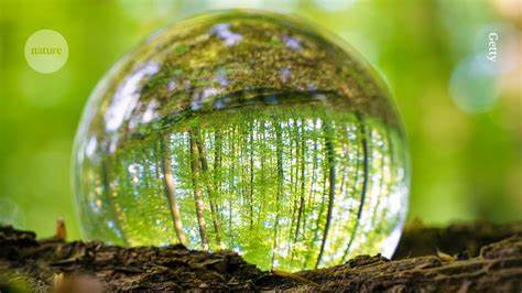 解析镜像分子生物学研究的科学价值、潜在风险及伦理挑战,探讨该领域是否应当继续推进,旨在促进科技进步与社会安全的平衡发展。
