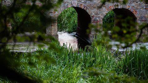 关键物种在生态系统中扮演着不可替代的角色,它们通过维持生态平衡和促进生物多样性,保障整个生态系统的健康发展。了解关键物种的作用对于保护环境和应对生态危机至关重要。
