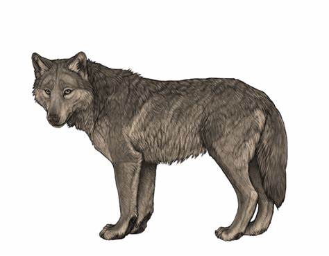 探索Wolvden这一独特虚拟宠物养成游戏的魅力,了解其丰富的游戏机制、社群互动和持续发展的创新特色,让玩家沉浸在一个充满挑战与乐趣的数字生态中。
