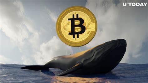 Long Dormant Bitcoin Whales Are Waking Up: What Is Going On?