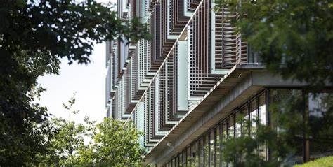 深入探讨哥本哈根商学院MBA如何助力国际专业人士在商业战略与创新实践中实现突破,结合北欧独特的管理哲学,塑造面向未来的领导力与可持续发展观念。
