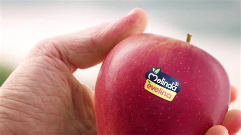 梅琳达庆乡情:Evelina"咬一口赢"抽奖活动回归,苹果与农旅的完美结合
