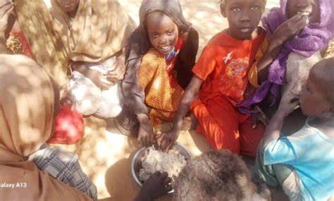 揭示苏丹阿布舒克营地流离失所者在饥饿与缺乏医疗救助下持续死亡的严峻现实,分析成因、当前救援现状与国际社会应对路径,并提出可行的人道行动建议。
