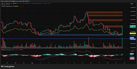 比特币重新站上116,000美元关口,图表形态、成交密集区和资金流动共同塑造了潜在的第四季度上涨路径,同时也提示关键的支撑与风险区间供交易者参考
