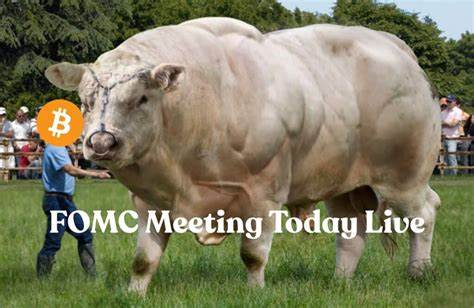 随着美联储即将公布利率决议,零售销售月度数据成为市场关注的焦点。本文深度解析零售销售数据对美国联邦公开市场委员会(FOMC)政策走向的影响,以及其对比特币价格和整体加密货币市场的潜在意义。
