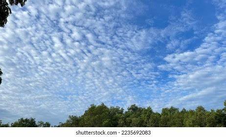 在网络管理和IP地址规划中,面对大量小型相邻网络的合并需求日益增长。Little Fluffy Clouds作为一款高效的工具,帮助用户轻松聚合多个小网络,极大提升网络管理效率,优化资源利用。本文深入解析该工具的核心功能、应用场景及其技术优势,助力网络管理员和技术人员在复杂网络环境中实现简洁且高效的网络配置。
