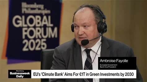 围绕欧洲投资银行副行长安布鲁瓦兹·费约尔对全球发展融资的观察与策略解读,探讨气候融资、私营资本动员、混合金融工具以及多边合作在促进可持续基础设施和发展目标实现中的关键作用
