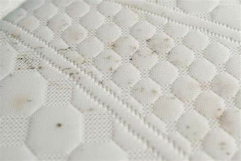 探讨现代床垫中常见的有害化学物质及其对人体健康的潜在影响,揭示如何选择安全环保的床垫,打造健康的睡眠环境。
