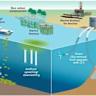 Offshore hydrogen production leaves a hydrographic footprint in the North Sea