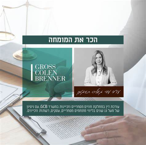 深入介绍沙哈夫·格罗斯(עו"ד שחף גרוס)在合同法领域的背景与实务经验,解析合同起草、审查、履行与违约处理的关键要点,帮助企业和个人在以色列法律环境中有效管理合同风险与争议解决。
