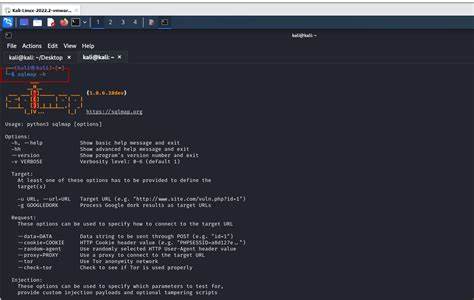 深入探讨如何通过自定义和创新的tamper脚本突破传统sqlmap的局限性,实现更高级的SQL注入攻击技巧,包括会话保持、二次注入利用以及实时漏洞提醒技术。
