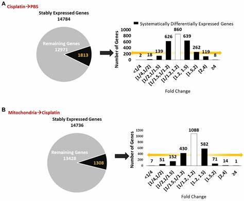 近年来科学家们在神经退行性疾病的研究中取得重大进展,特别是在提升线粒体功能以改善认知障碍方面展现出令人振奋的潜力。本文深入探讨了最新研究成果,揭示线粒体在大脑健康中的关键作用及其为治疗认知障碍带来的新希望。
