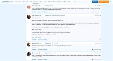 探索Amateri.com作为美国知名成人交友平台的发展背景、核心功能及用户体验,深入了解其在多元文化交友中的重要地位和优势。
