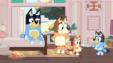 深入探讨各种莓果植物的特点、种植方法及注意事项,助力园艺爱好者打造丰收果园,提升种植效果与产量。
