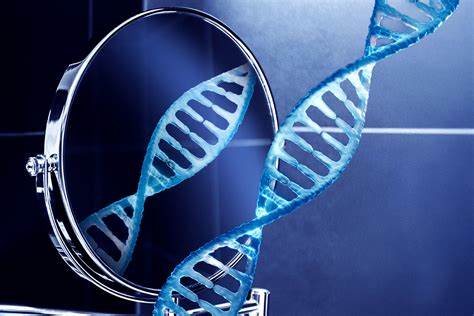 深入探讨镜像生命的科学原理、潜在应用以及可能带来的生物安全隐患,结合生命手性的起源和科学研究的最新动态,全面分析镜像生物技术的发展前景与社会伦理问题。
