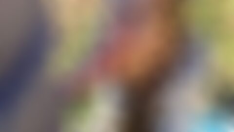 概述成人视频网站XVIDEOS的功能与生态,解析合规与 safety 问题,为用户和内容创作者提供实用建议,重点关注年龄验证、隐私保护、版权与内容审核等要点,助力安全浏览与合规运营。
