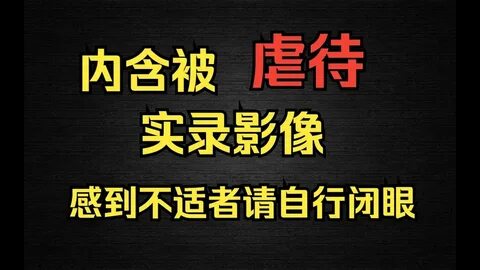深入探讨DND 5E游戏中UA扩展被多数团队禁止的背后原因,分析其对游戏平衡性的影响以及玩家体验的变化,助力玩家和团队合理选择游戏内容。
