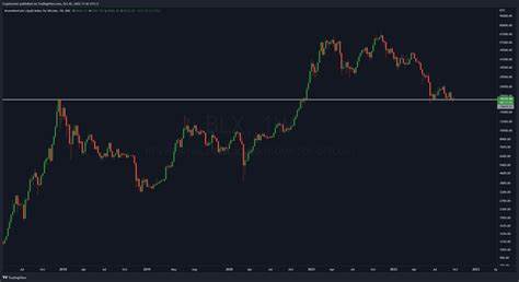 Crypto Rover Signals Bullish Retest for Altcoins - Blockchain.News