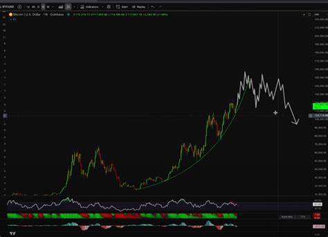 随着比特币价格持续攀升,资深加密货币分析师凯文·斯文森对比特币当前牛市的阶段性走势进行了详尽剖析,预测比特币即将迎来本轮牛市的顶峰,深刻揭示市场情绪及未来走势的关键因素,为投资者提供重要参考。
