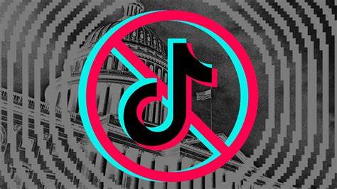 TikTok faces a skeptical panel of judges in its existential fight against the US government