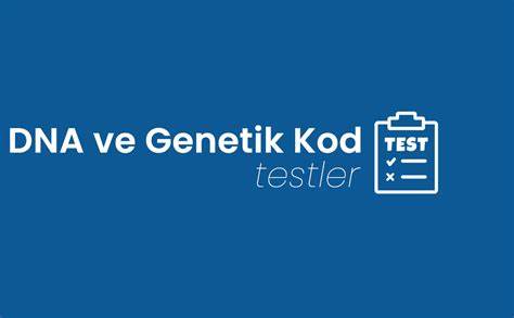 探索DNA与遗传密码测试的重要性,了解如何通过免费资源提升中学生在科学领域的理解与成绩,揭示核酸科学与生物技术的基础知识及其现实应用。
