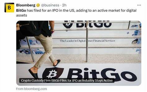 BitGo作为领先的加密资产托管服务提供商,其IPO申请引发投资者广泛关注,本文深入解析BitGo的业绩表现、IPO对加密市场的潜在影响及其对比特币与以太坊价格波动的可能推动作用。
