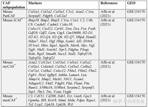 详细介绍货币贬值附加费(CAF)的定义、计算方式及其在国际贸易中的应用,帮助读者全面了解CAF的影响因素及计算技巧,提升对国际运输费用结算的认知。
