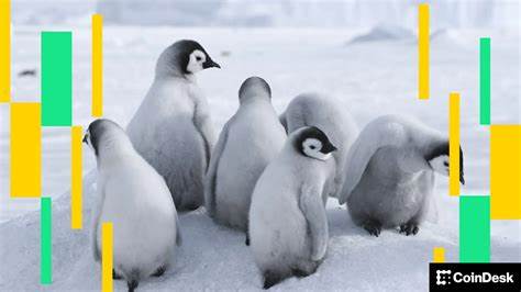 解析近期加密货币市场的主要动向,关注比特币价格的波动以及PENGU代币持仓量达到新高的背后原因,揭示市场资金流动及投资者情绪变化,助力读者洞察未来趋势。
