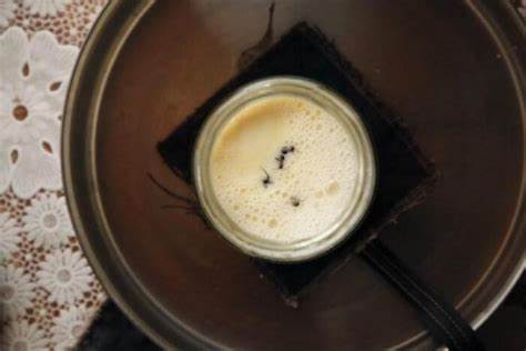 从森林到碗里:科学复活保加利亚蚂蚁酸奶的历史、微生物学与美食启示
