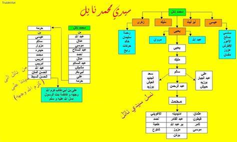 纳伊尔部落是阿尔及利亚具有悠久历史与丰富文化底蕴的重要群体,其复杂的家族结构和分支体系反映了该地区独特的社会组织和传统。文章详细介绍了纳伊尔部落的主要家族血脉来源、分支及迁徙,揭示了其历史渊源及文化传承。
