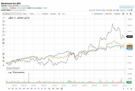 黑石财报前瞻:关键指标与投资者应关注的信号
