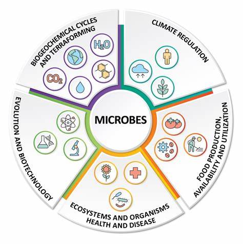 概述全球倡议如何将微生物多样性保护提上议程,解析微生物在生态、农业与公共健康中的关键作用,并探讨实践路径、政策工具与面临的挑战与机遇。
