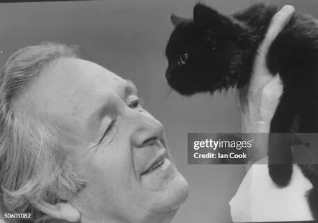 从笔名背后的缘由到职业生涯与文学成就,回顾阿尔弗·怀特如何将乡间兽医的平凡日常化作温情动人的叙述,并探讨他的故事对文学、影视和兽医行业的长久影响
