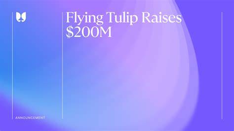 Flying Tulip完成2亿美元融资并启动与私募相同估值的$FT公募,同时为所有初始购买者提供链上赎回权。文章解读项目架构、代币经济、链上赎回机制、潜在风险与参与指南,帮助投资者理解创新设计与合规与安全注意事项。
