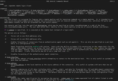 Proxmox 实战备忘:从安装到集群与存储的全流程经验总结
