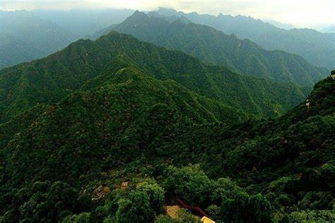 深入介绍陕西的历史、地理、文化、美食、旅游线路和实用出行建议,帮助读者全面认识这片中华文明的重要发源地
